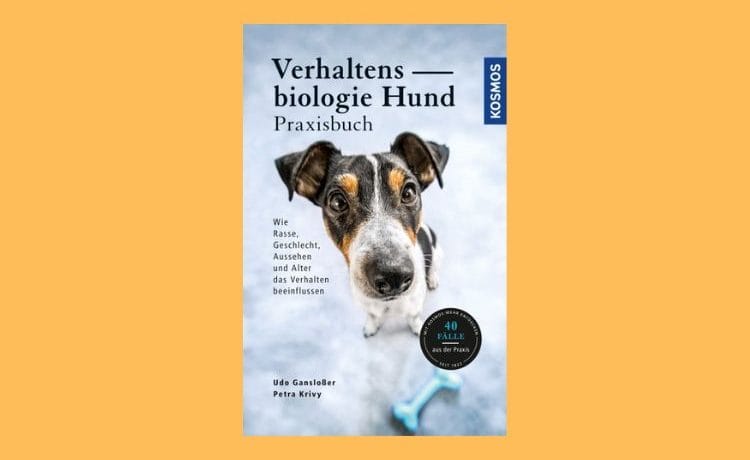Verhaltensbiologie Hund